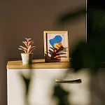 Apartmán Rbc With Terrace And Parking *